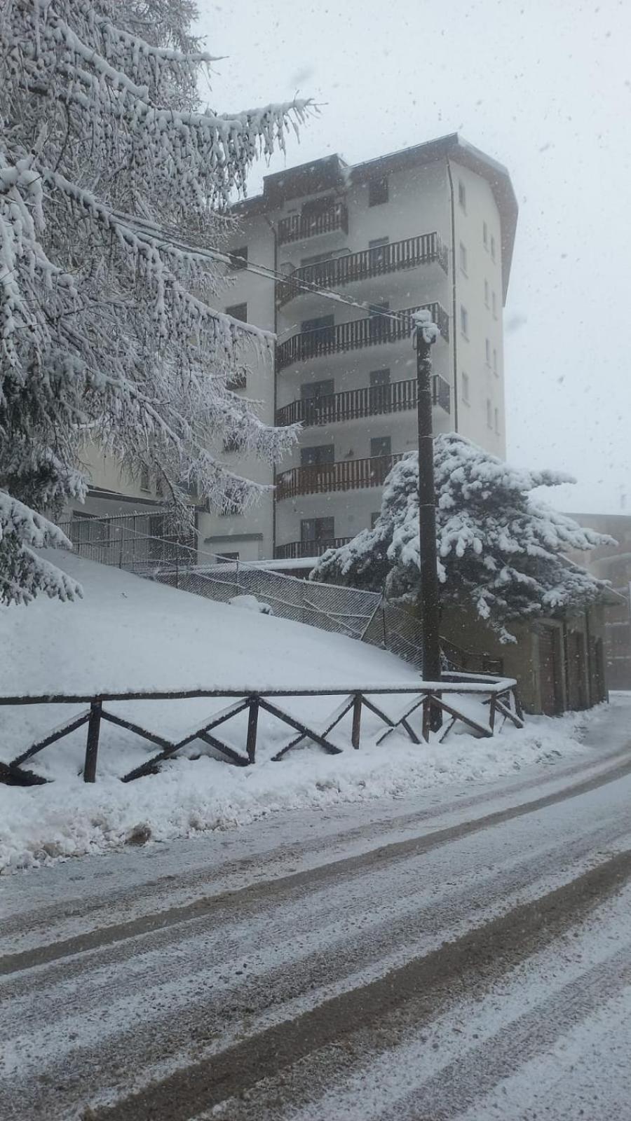 Sauze Guesthouse Apartment Sauze D'Oulx Exterior foto